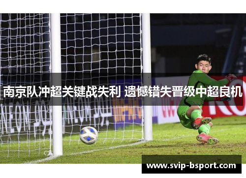 南京队冲超关键战失利 遗憾错失晋级中超良机 南京队冲超关键战失利 遗憾错失晋级中超良机