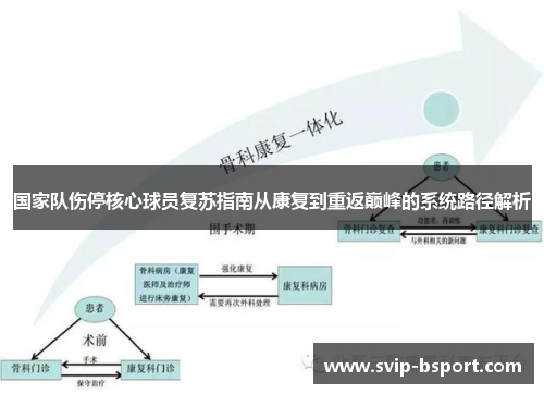 国家队伤停核心球员复苏指南从康复到重返巅峰的系统路径解析